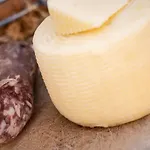 Garibaldi