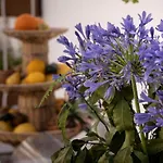 Garibaldi Trapani